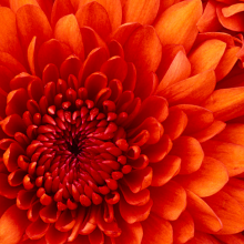 NURAZIAN SUHARIZA BINTI HASAN